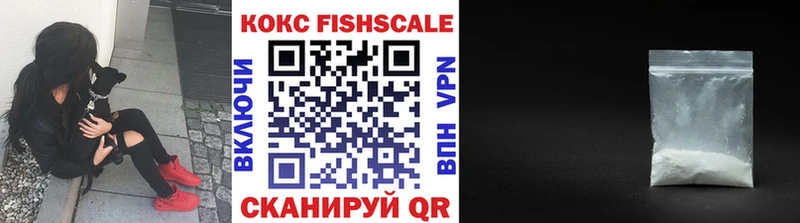 Купить  Зеленодольск  COCAIN FishScale 
