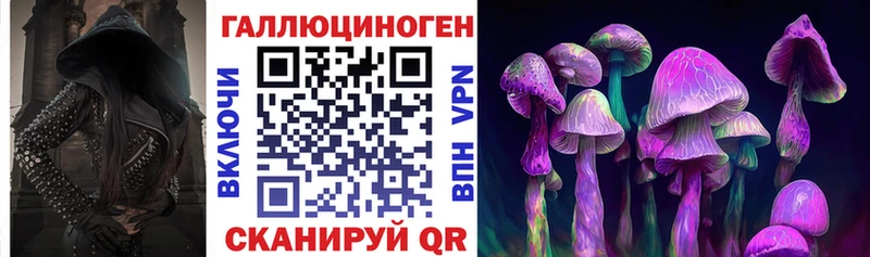Псилоцибиновые грибы GOLDEN TEACHER  Купить  Зеленодольск 
